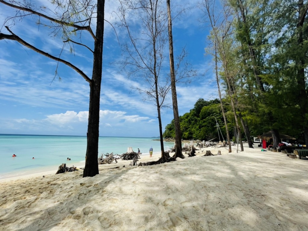 One day tour Phi Phi by Speed boat