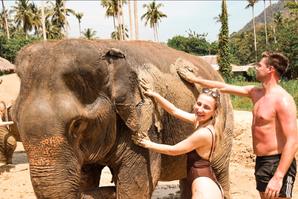 Half day Elephant Sanctuary